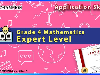 Grade 4 Math | Expert Level → Application Skills